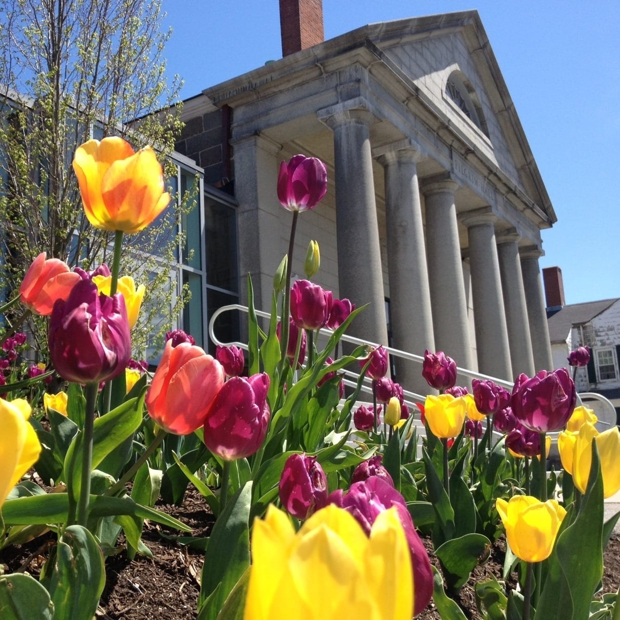 Plymouth: Pilgrim Hall – Oldest Continuously Operating Museum in the ...